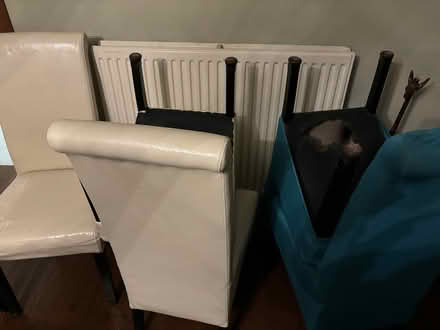 Photo of free Dining Chairs (Churchdown GL3) #1