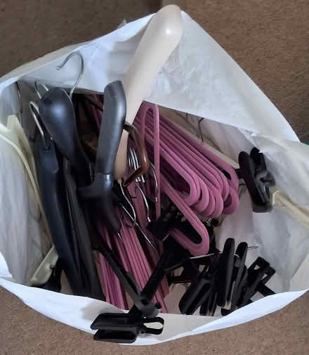 Photo of free Clothes hangers (South Acton) #1