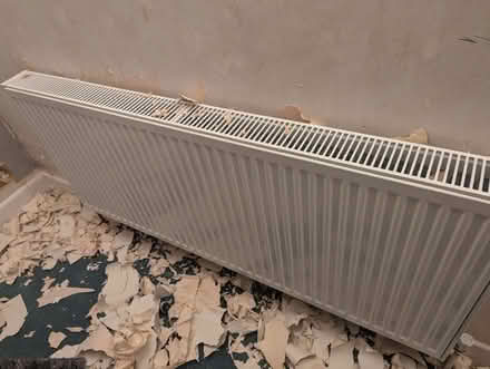 Photo of free 3 radiators (Lilliput BH14) #2