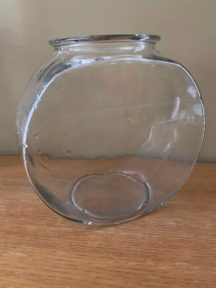 Photo of free Fish bowl: 8.5 in high (West Cambridge) #1