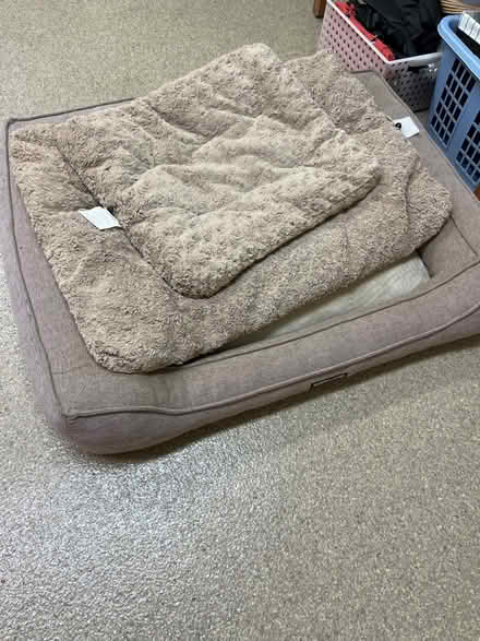 Photo of free Dog beds (Saratoga Herriman Ave) #1