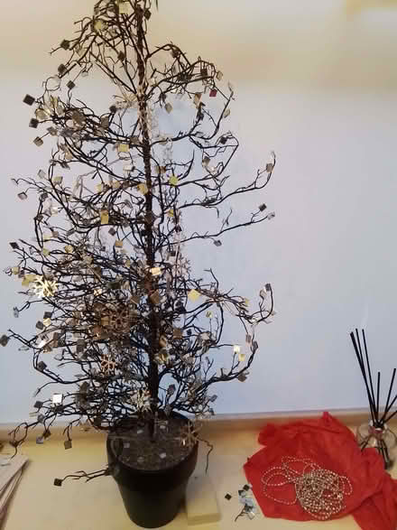 Photo of free Black Christmas tree (Ossett WF5) #1