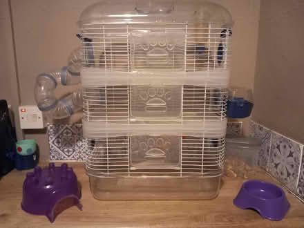 Photo of free 3 tier Hamster cage bedding & food (WS8) #1