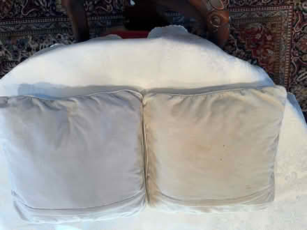 Photo of free Decorative pillows (Wayland) #2