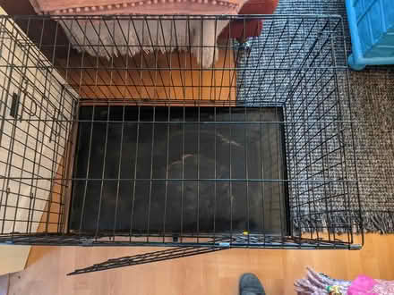 Photo of free Dog crate (Lower Morden SM4) #2