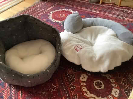 Photo of free Cat beds (Parsons Heath CO4) #1