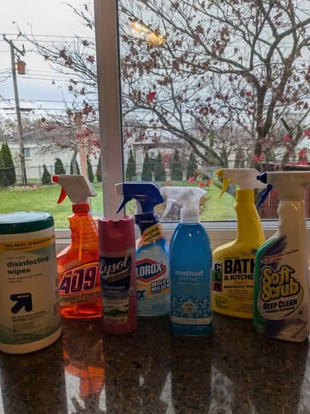 Photo of free Cleaning Products (2nd batch) (Northeast Livonia) #1