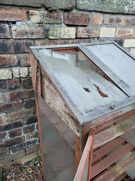 Photo of free Mini greenhouse (Liberton EH16) #3