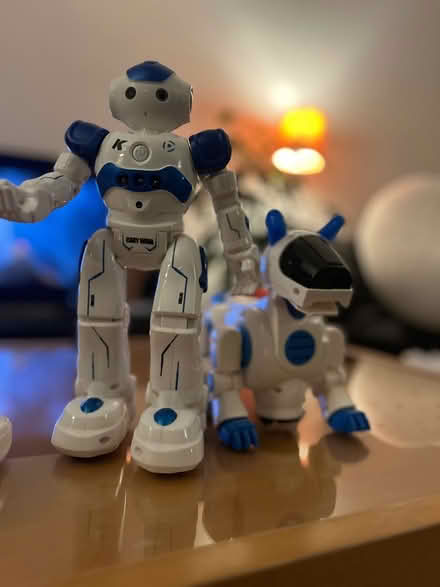 Photo of free Robot & Robodog (Wandsworth SW18) #1