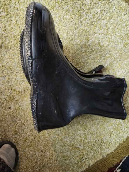 Photo of free Overshoes, Mens 11.5 (Wellington Village) #2