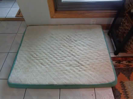 Photo of free Dog Beds (Port Crane NY) #1