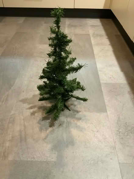 Photo of free Small Christmas tree (Hempstead Valley ME7) #1