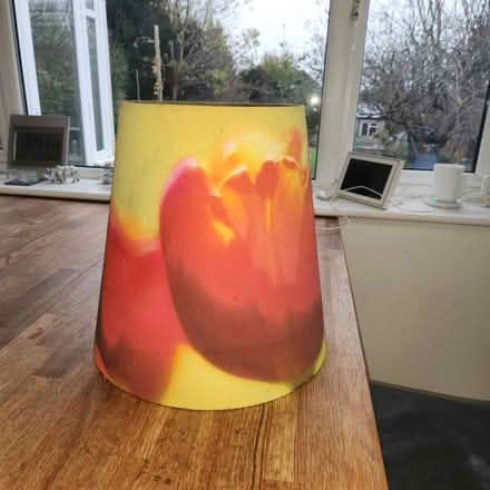 Photo of free Large tulip light shade (Old Coulsdon CR5) #1