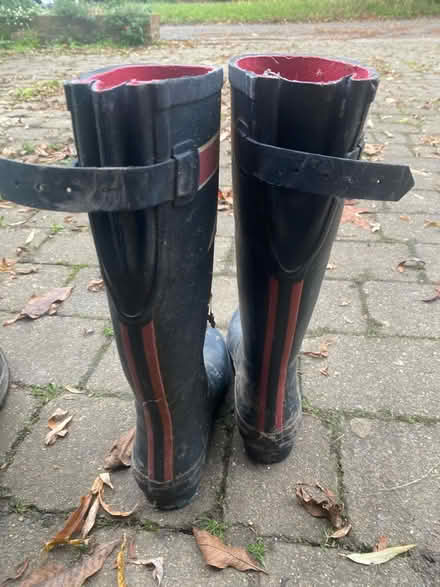 Photo of free Wellington boots (Claygate,KT10) #4