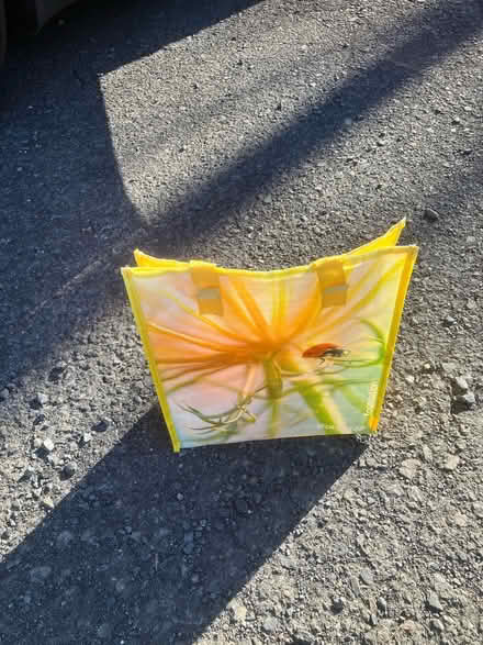 Photo of free Shopping bags (Near Horsham Wendy's) #2