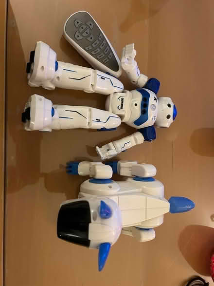 Photo of free Robot & Robodog (Wandsworth SW18) #2