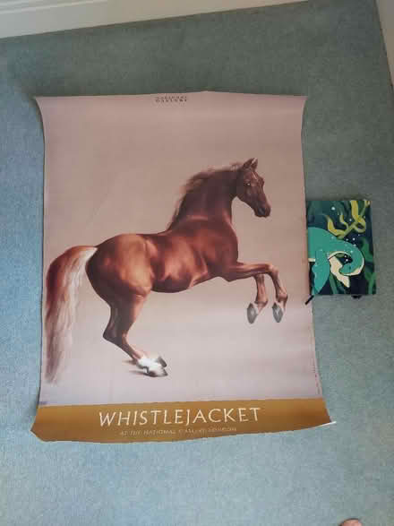 Photo of free Poster of Whistle Jacket (Waterlooville PO7) #2