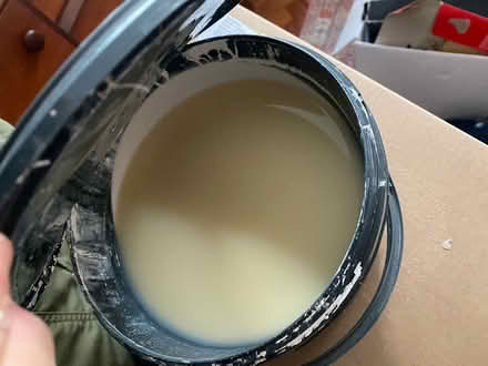 Photo of free White soft sheen paint (Croydon) #2