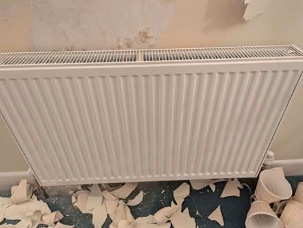 Photo of free 3 radiators (Lilliput BH14) #3