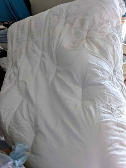 Photo of free Double duvet (NG9, Beeston) #1