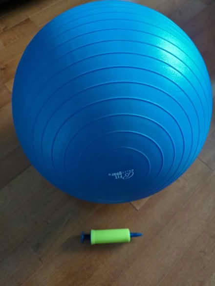 Photo of free Bally fit exercise ball 16 in (West San Jose/Cupertino) #1