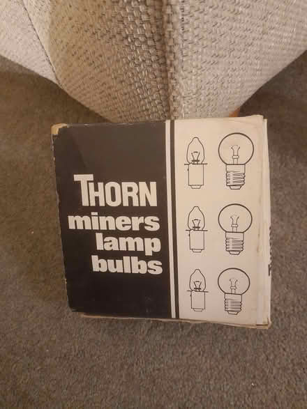 Photo of free Lamp bulbs (Bacup) #1