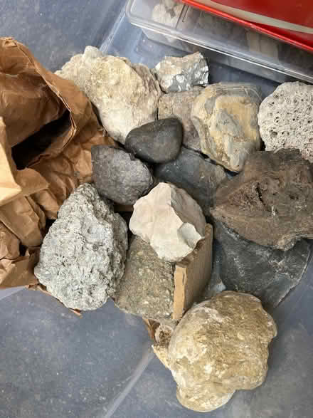 Photo of free Rocks and Fossils (Clarendon/Lyon Village/) #2