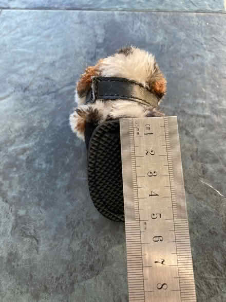 Photo of free Cute winter boots for small dog (Bexhill on sea TN39) #2