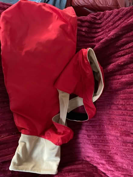 Photo of free Greyhound/whippet coat (Northfield B31) #3