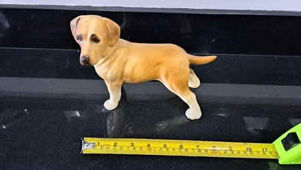 Photo of free Yellow Labrador ornament (Bishops Waltham SO32) #1