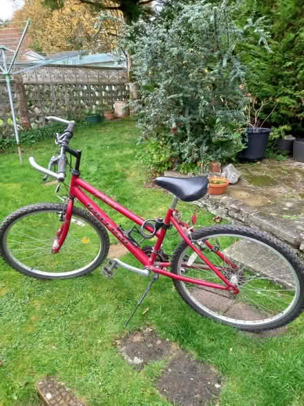 Photo of free 2 ladies bikes (Milton of Campsie) #1