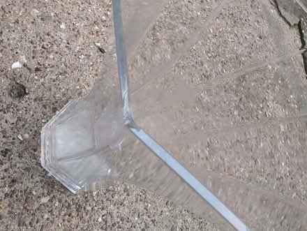 Photo of free Glass flower vase (Lampton TW3) #2