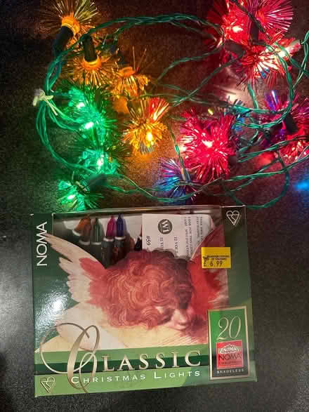 Photo of free Christmas lights (BD18 Wrose) #1