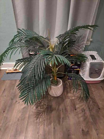 Photo of free Plastic plant (West oakland, 12th and wood) #1