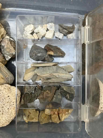 Photo of free Rocks and Fossils (Clarendon/Lyon Village/) #4