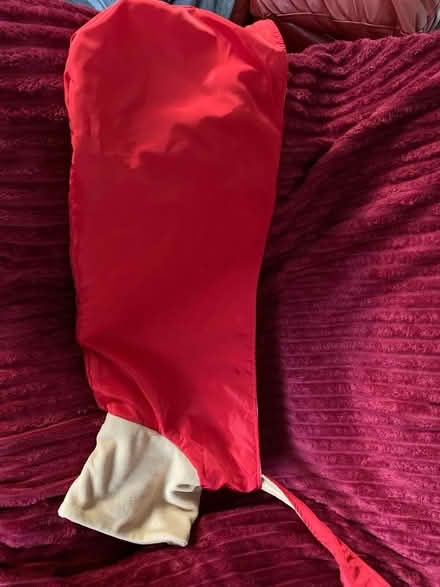 Photo of free Greyhound/whippet coat (Northfield B31) #2