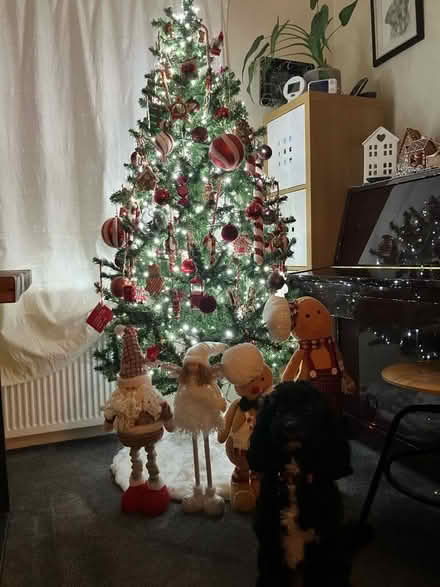 Photo of free 6ft artificial Christmas tree (Seaside BN22) #1