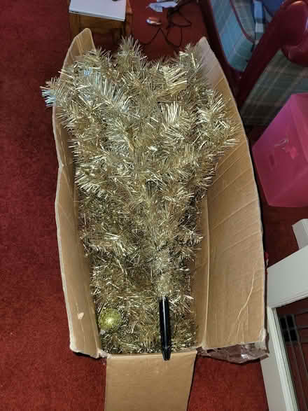 Photo of free Christmas tree (Little Earnock ML3) #1