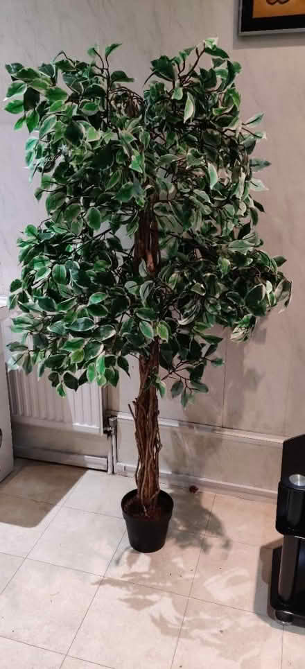 Photo of free Artificial tree (E9, South Hackney) #1