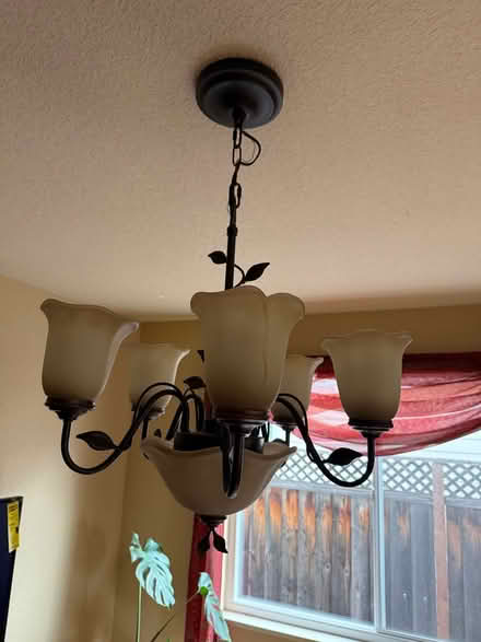 Photo of free 5 light flower chandelier (Cupertino by De Anza College) #1