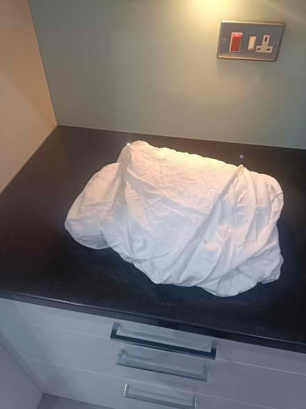 Photo of free Cotton double fitted sheet (Bow E3) #1