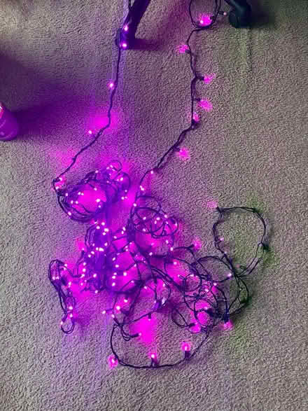 Photo of free Christmas decorations and lights (Hayward D street) #3