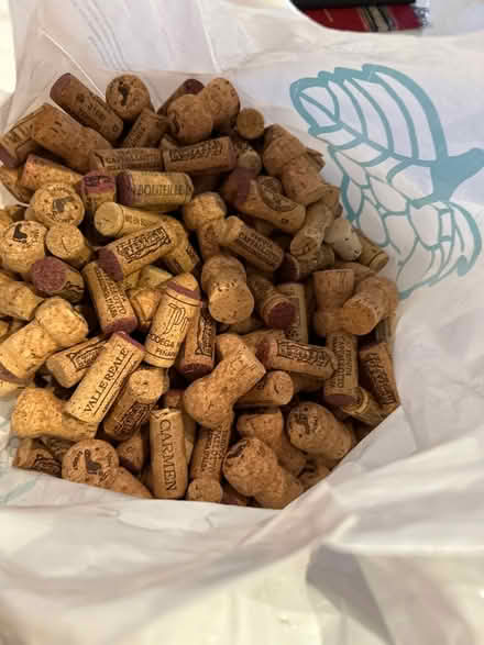 Photo of free Genuine wine corks (Bedford, MA) #2