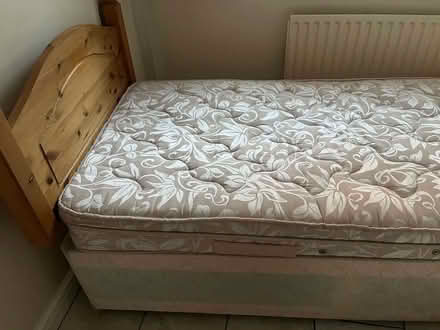 Photo of free Single bed (Coventry Holyhead rd CV5 8JP) #1