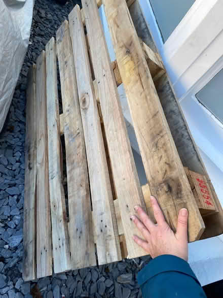 Photo of free Wooden pallet (Aldrington BN3) #2