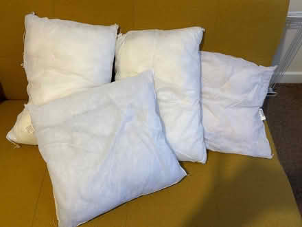 Photo of free Selection of cushion fillers (Basford Green ST13) #1