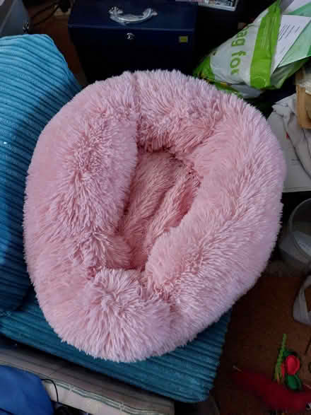 Photo of free Cat or small dog bed (BT6) #1