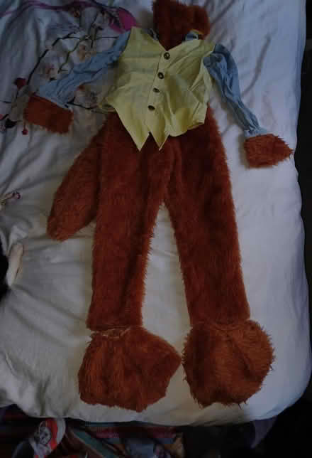 Photo of free Fantastic Mr fox outfit (RG12, Binfield) #1