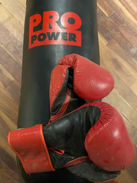 Photo of free Boxing Punch Bag and Gloves (Kelsall) #2