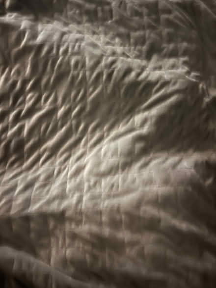 Photo of free Weighted Blanket (Berkeley border—near Telegraph) #2